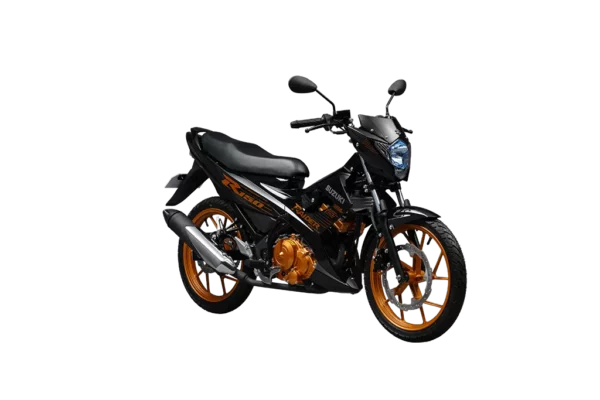 Raider R150 Carb