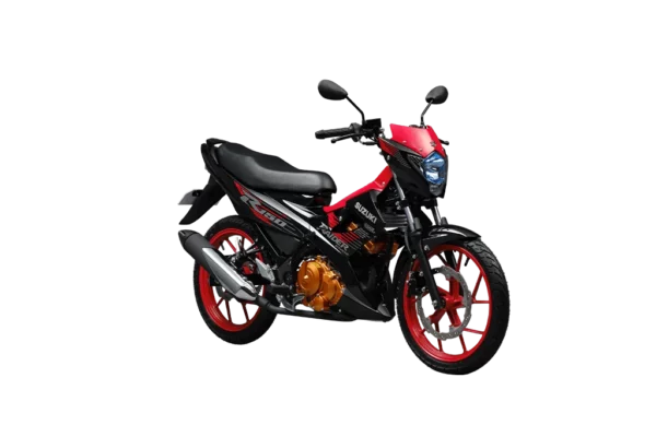 Raider R150 Carb - Image 3